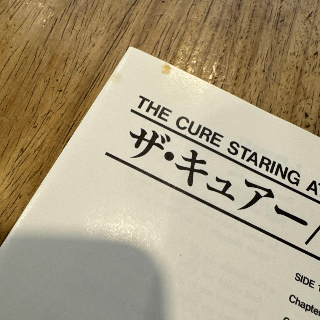 レア！Staring At The Sea • The Images 日本盤LD