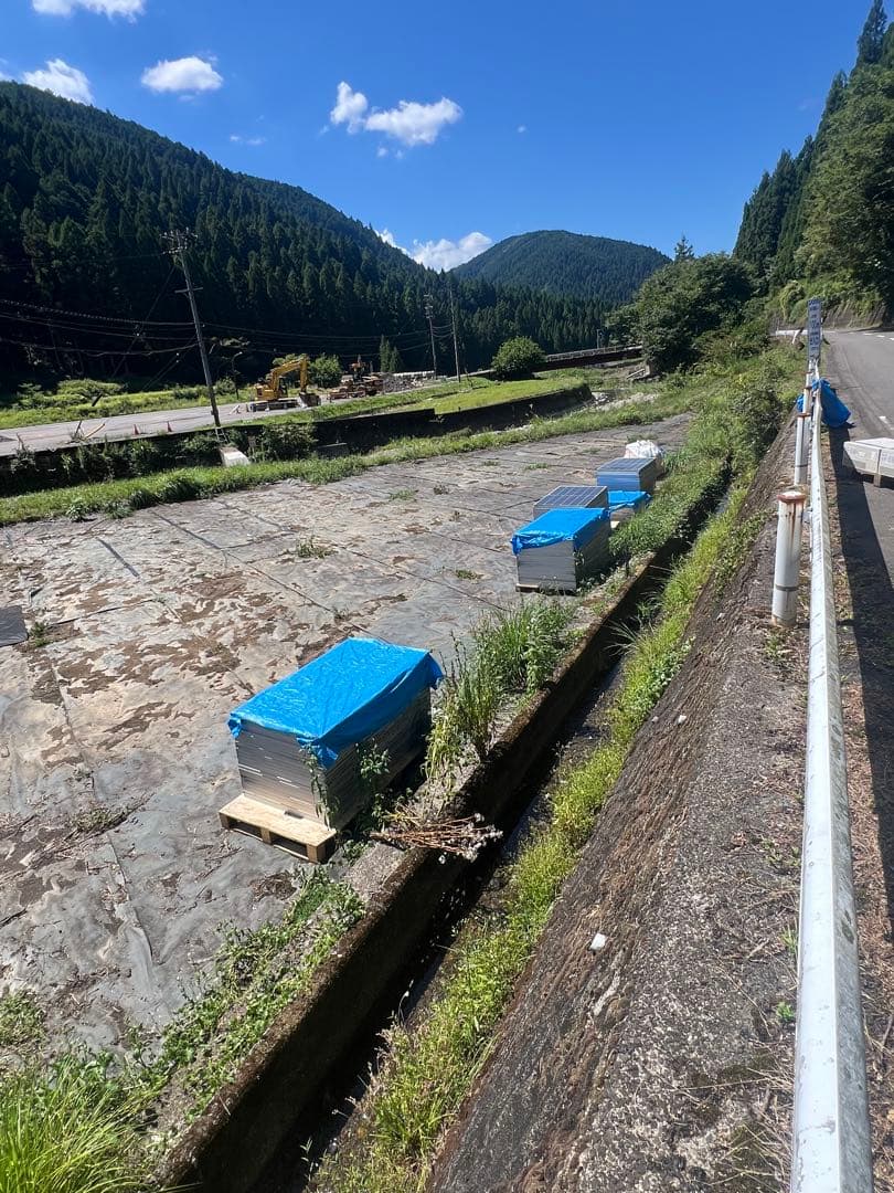 にゃんこきんぐ　10枚