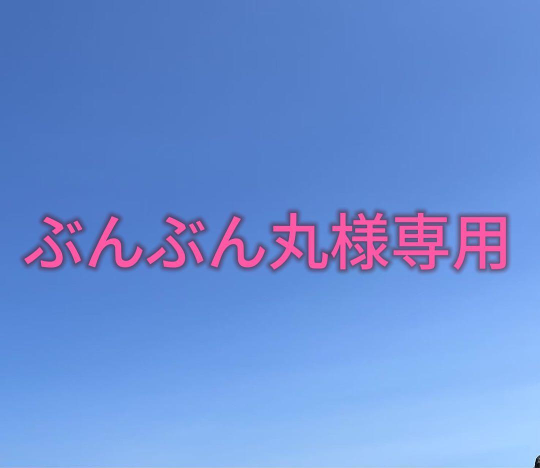 【ぶんぶん丸 】HillZero x ONETIGRIS テント2人