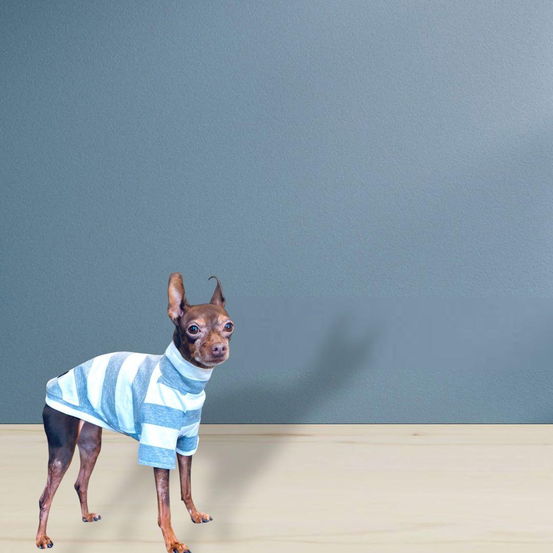 ⑱ボーダーショートスリーブ