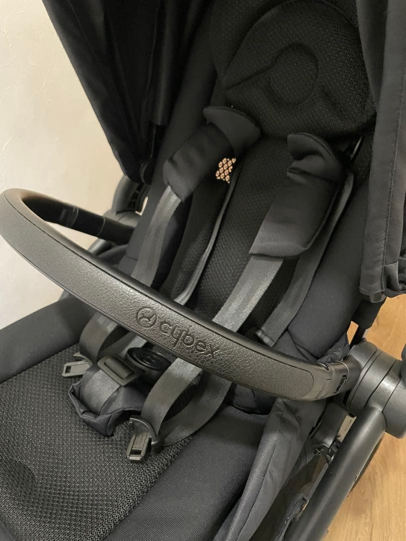 サイベックス メリオカーボン 2022年