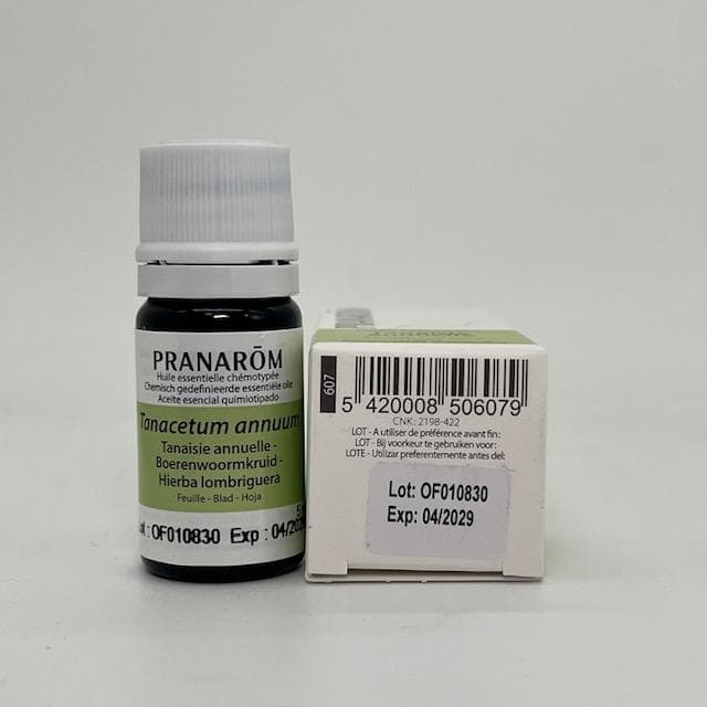 猫だいふく様　プラナロム タナセタム ×2本、ヘリクリサム、アカマツヨーロッパ