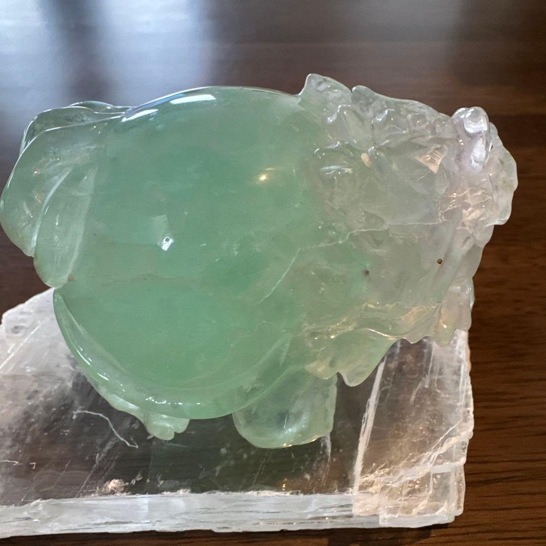 あきずき　フローライト　龍亀　ロングイ　２体セット