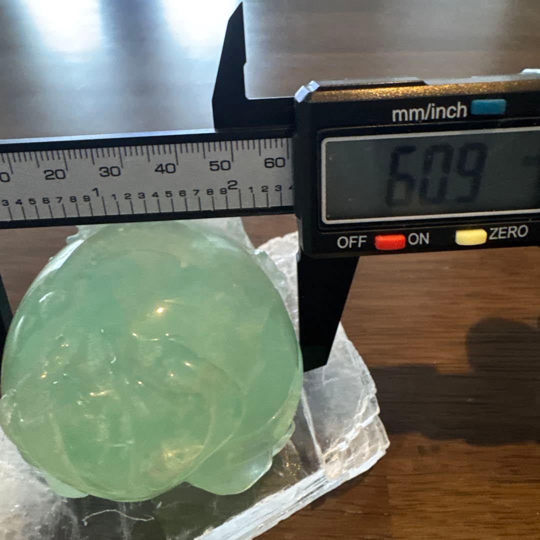 あきずき　フローライト　龍亀　ロングイ　２体セット