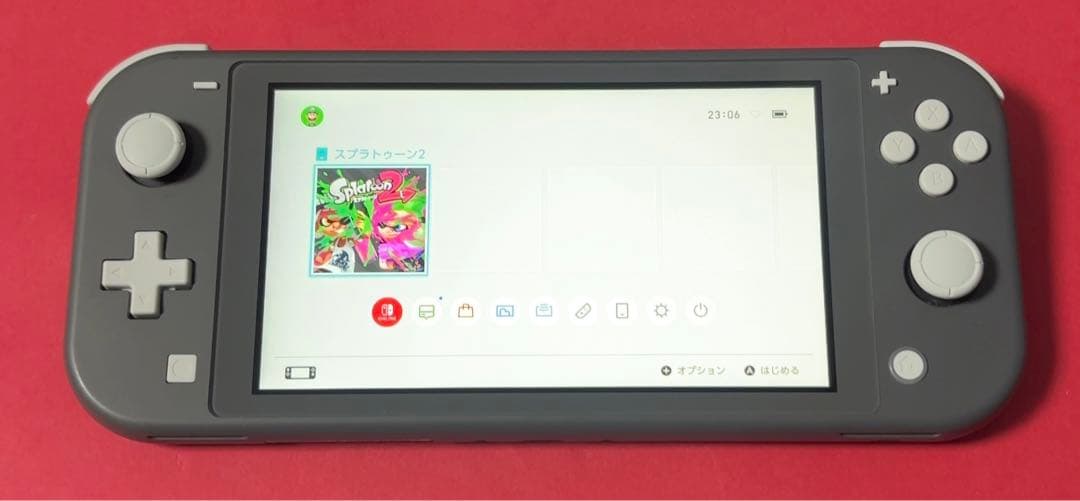 Nintendo Switch Lite グレー本体 【動作確認済】