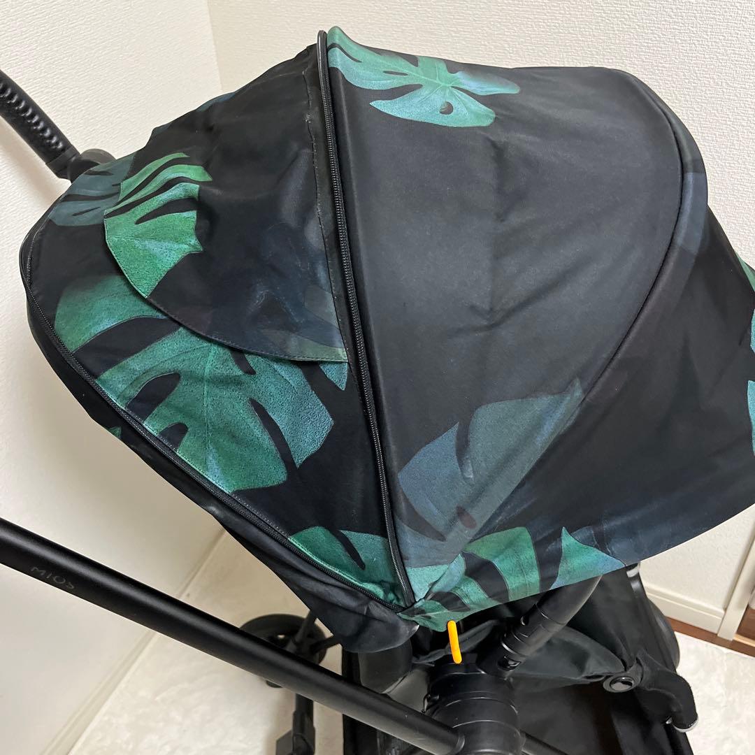 美品 サイベックス　ミオス　ファッションエディション　バーズオブパラダイス