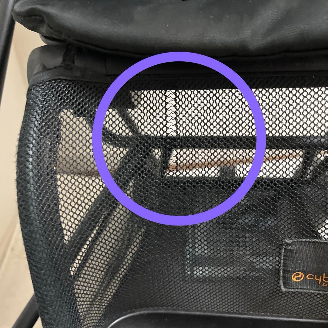 美品 サイベックス　ミオス　ファッションエディション　バーズオブパラダイス