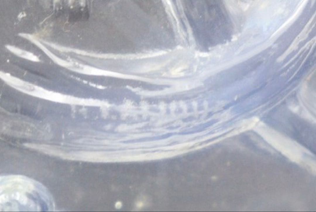 ルネ・ラリック　Graines d'Asperges ボウル　オパルセント　鉢