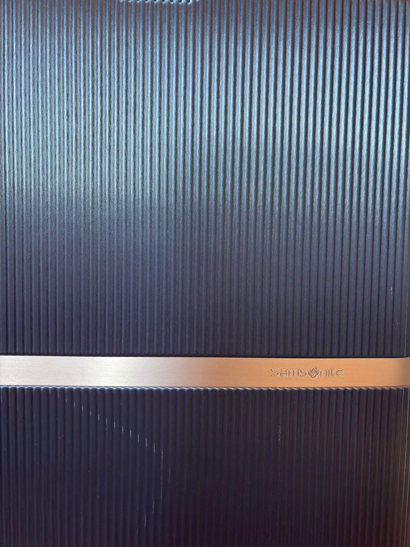 Samsonite ミンター スピナー 75 エキスパンダブル