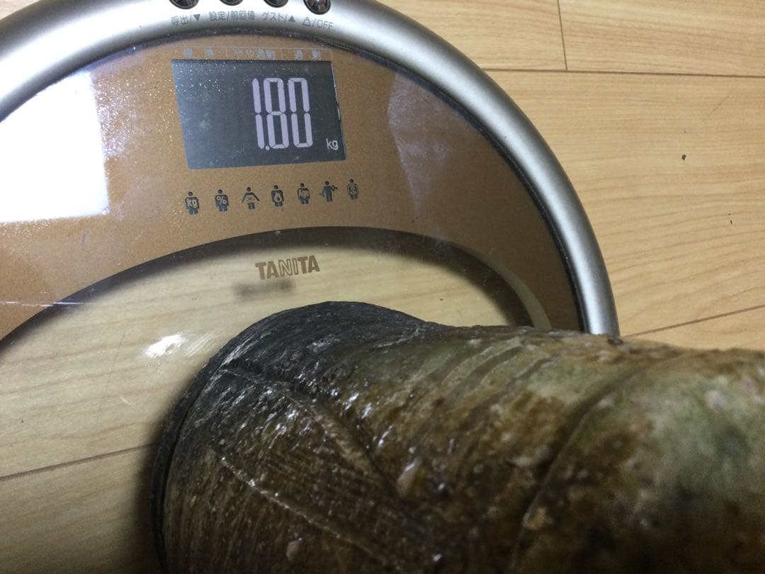 花器　焼き物　　　　　刻印有り　　　　　骨董