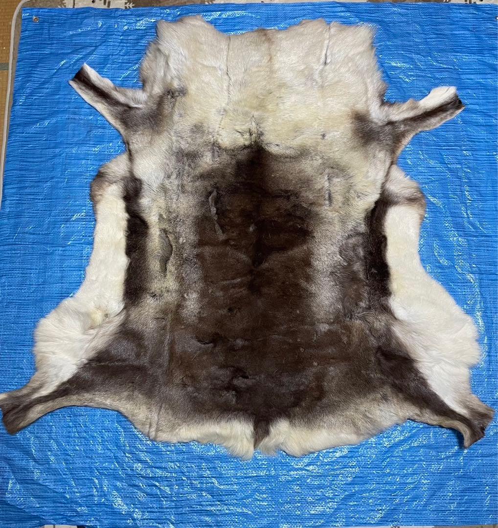 トナカイ毛皮　ファー　ラグ