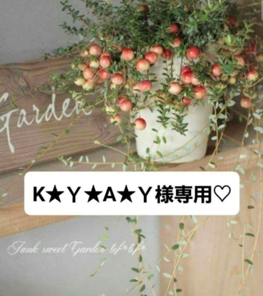 K★Ｙ★A★Yページ•*¨*•.¸♬︎