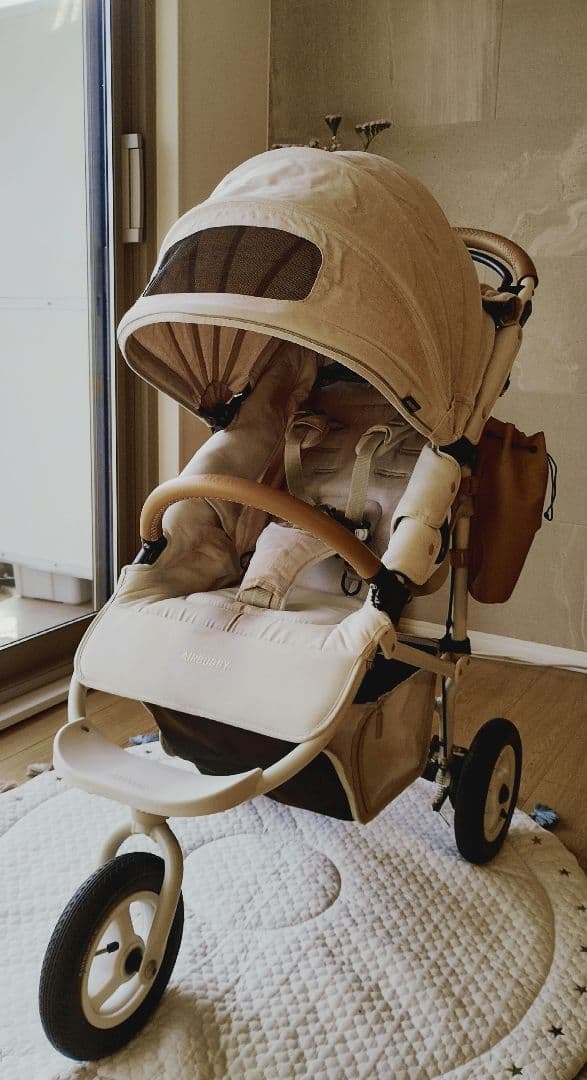 り*ご様 AIR BUGGY COCO BRAKE EX