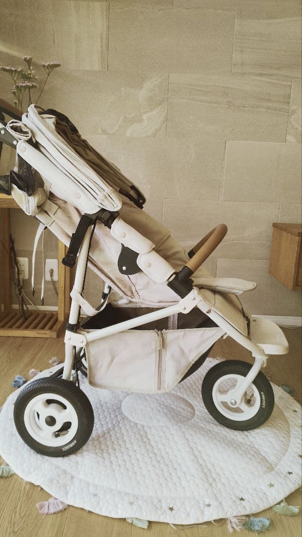 り*ご様 AIR BUGGY COCO BRAKE EX