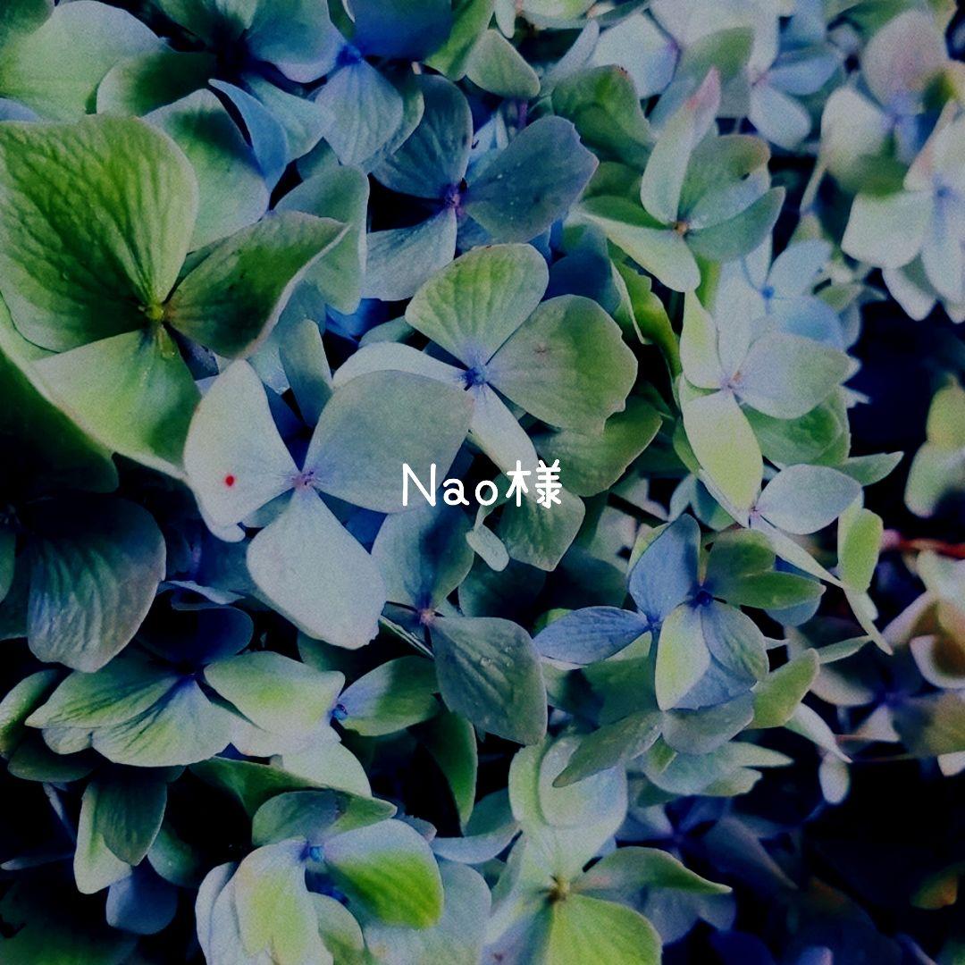 sabi お客ページ