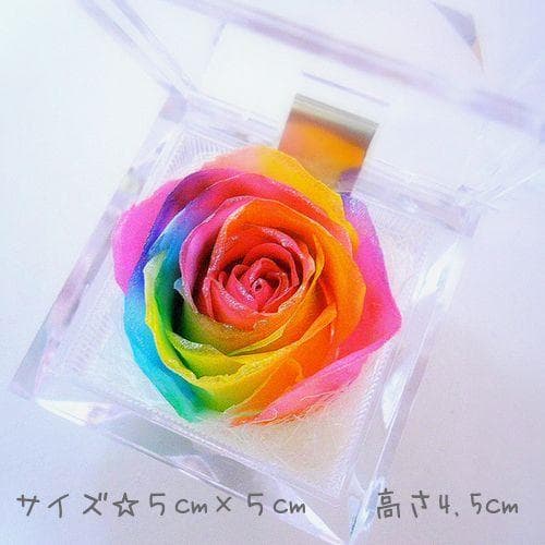 【高級プリザーブドフラワー】レインボーローズジュエリー