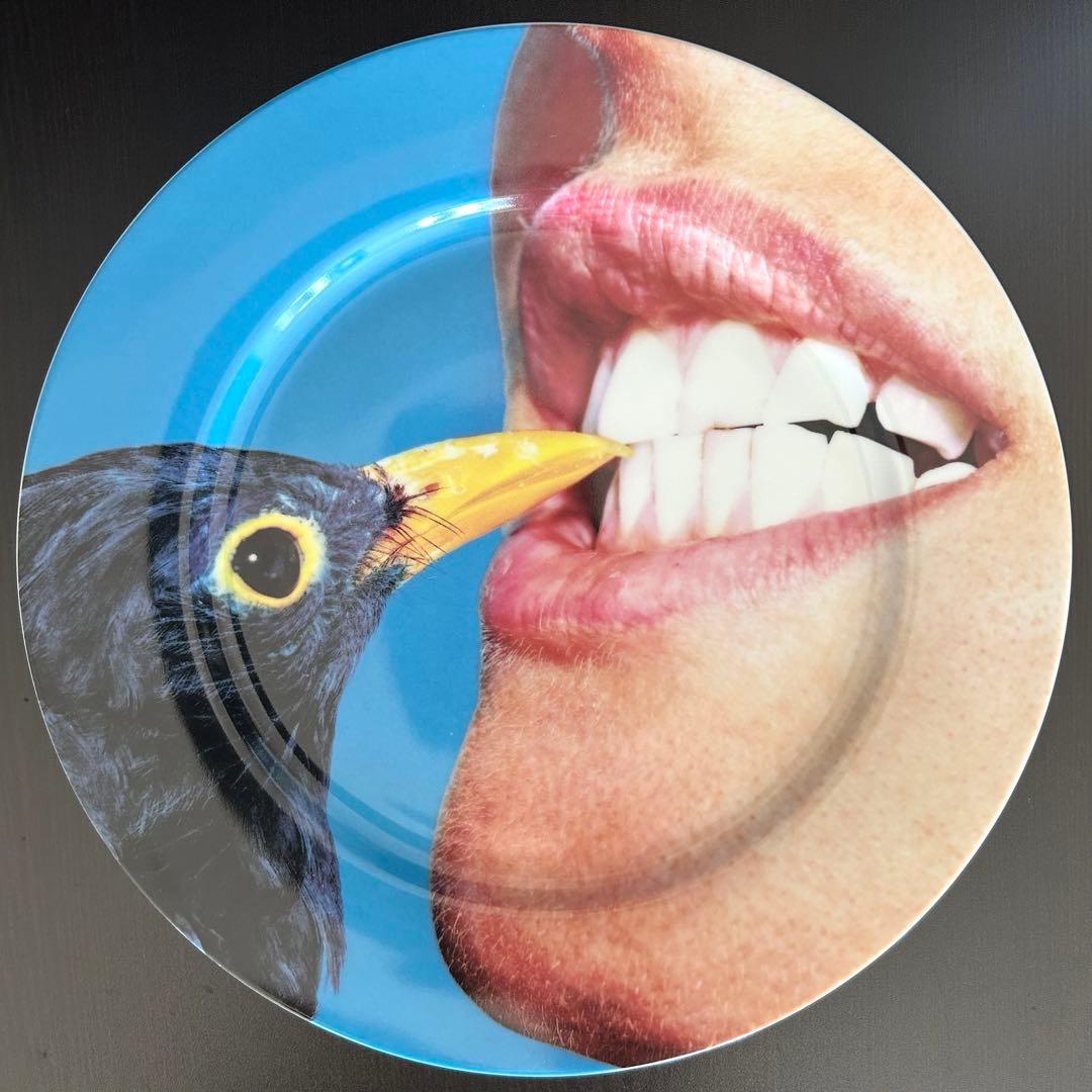 SELETTI セレッティ　ポーセリンディナープレート