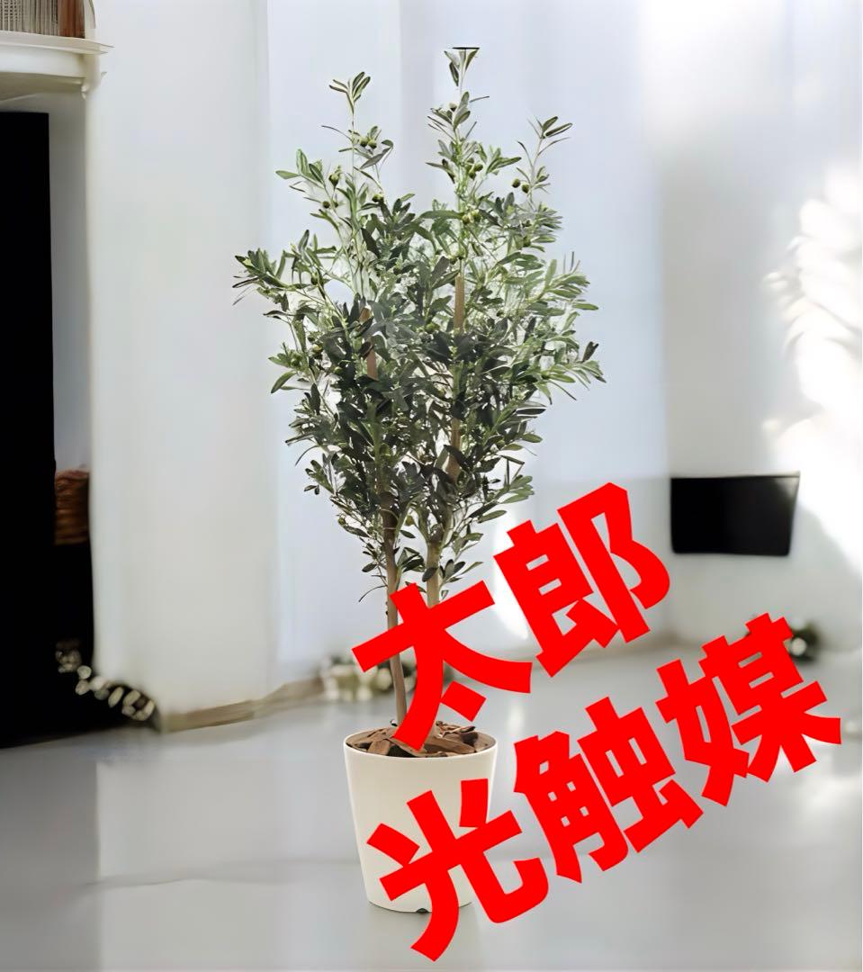 光触媒　人工観葉植物　ウォールグリーン　フェイクグリーン　オリーブ160aj