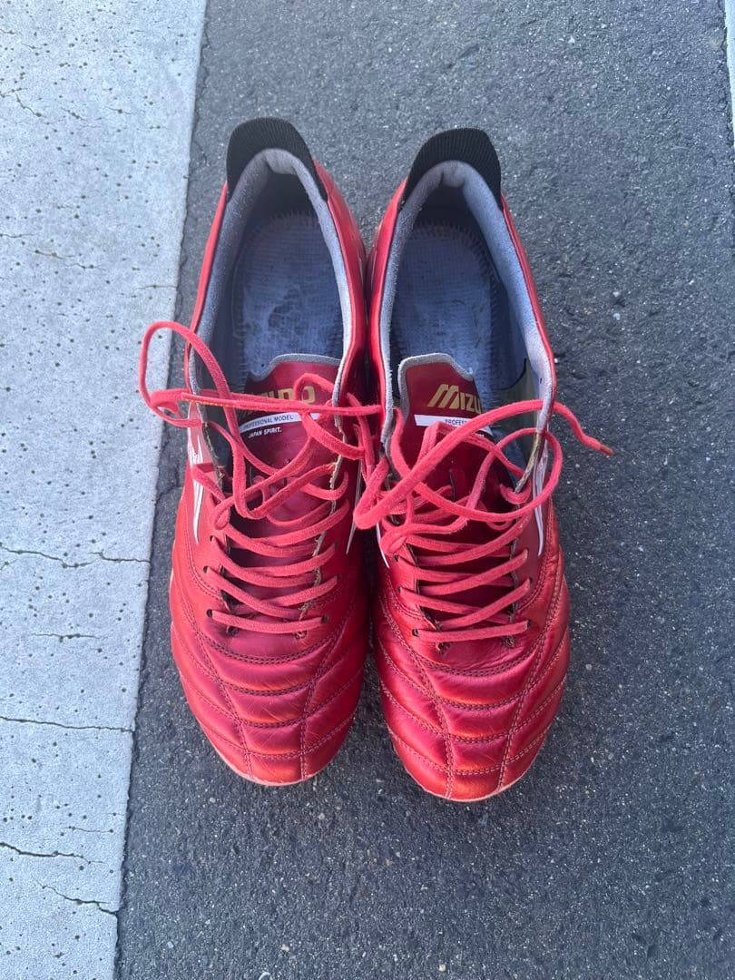 ミズノスパイク