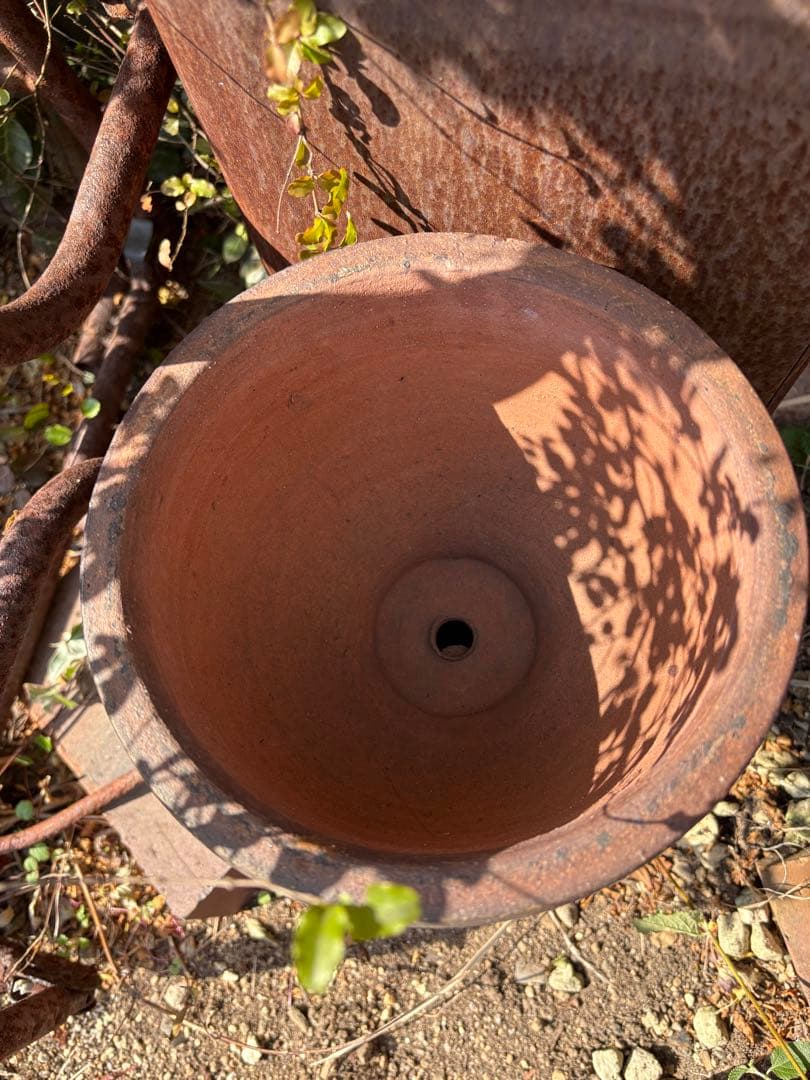 専用になりました(*☻-☻*)