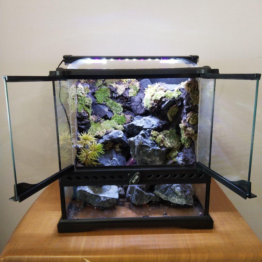 【受注生産】イモリウム　アクアテラリウム グラステラリウム