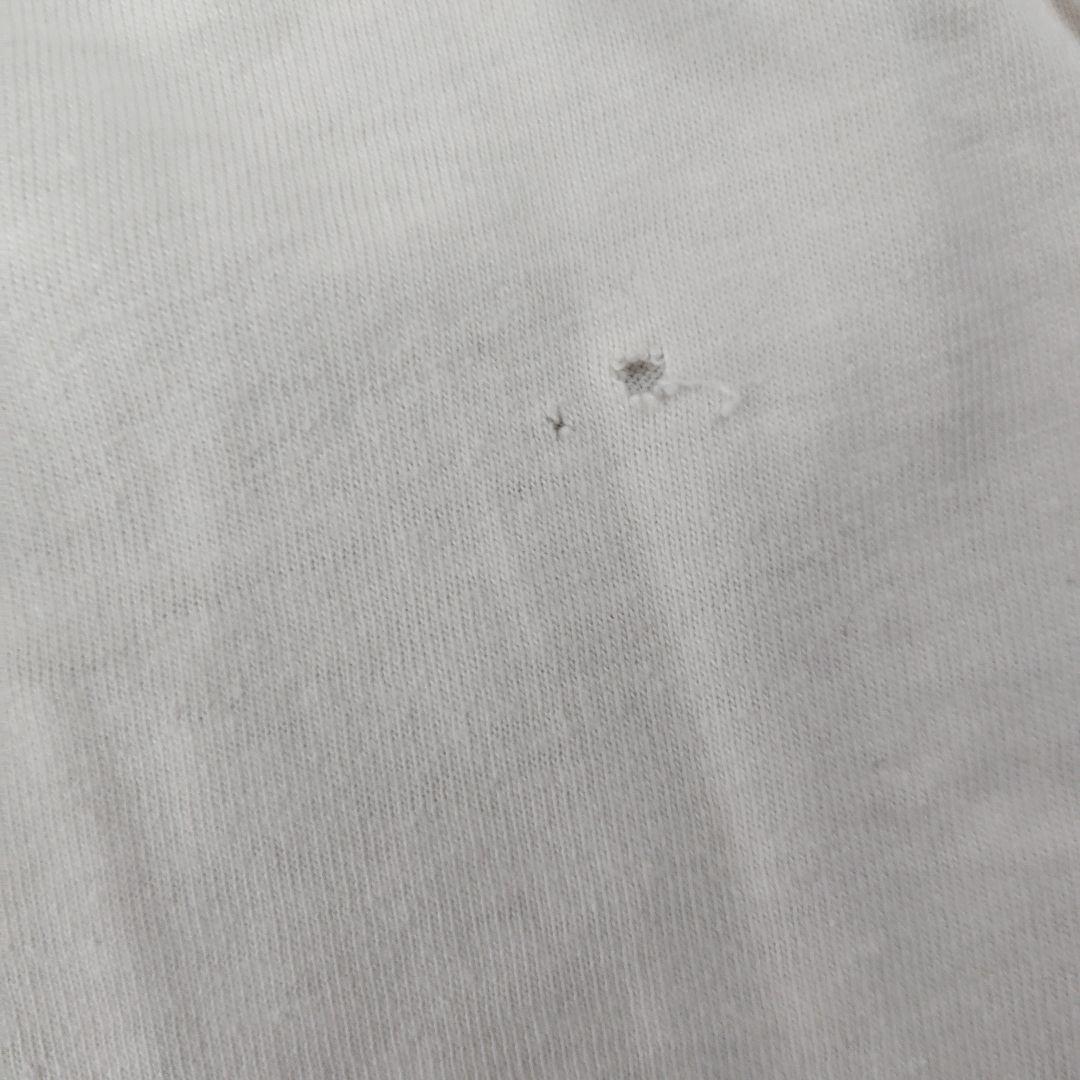 80s BattalionOfSaints Tシャツ アメリカンバードコア