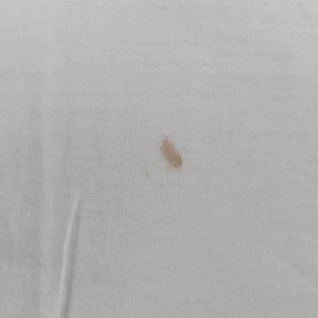 80s BattalionOfSaints Tシャツ アメリカンバードコア