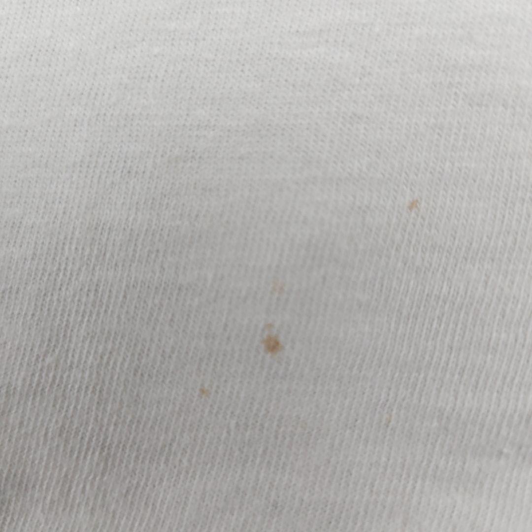 80s BattalionOfSaints Tシャツ アメリカンバードコア