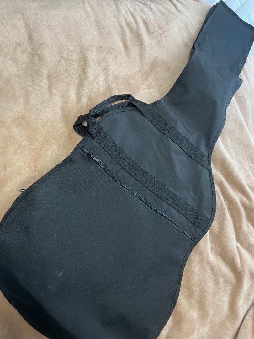 エレクトリックベース　プレシジョンタイプ　 新品弦に交換済み