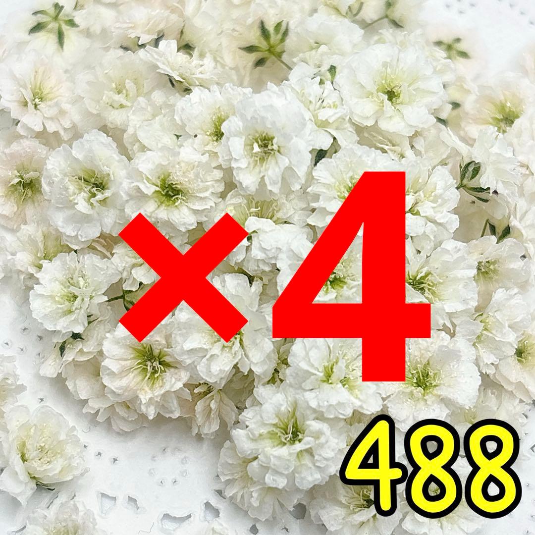 専用ページ✩.*˚