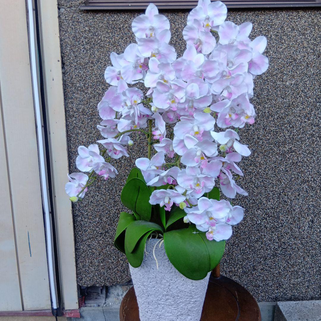 人工観葉植物　胡蝶蘭