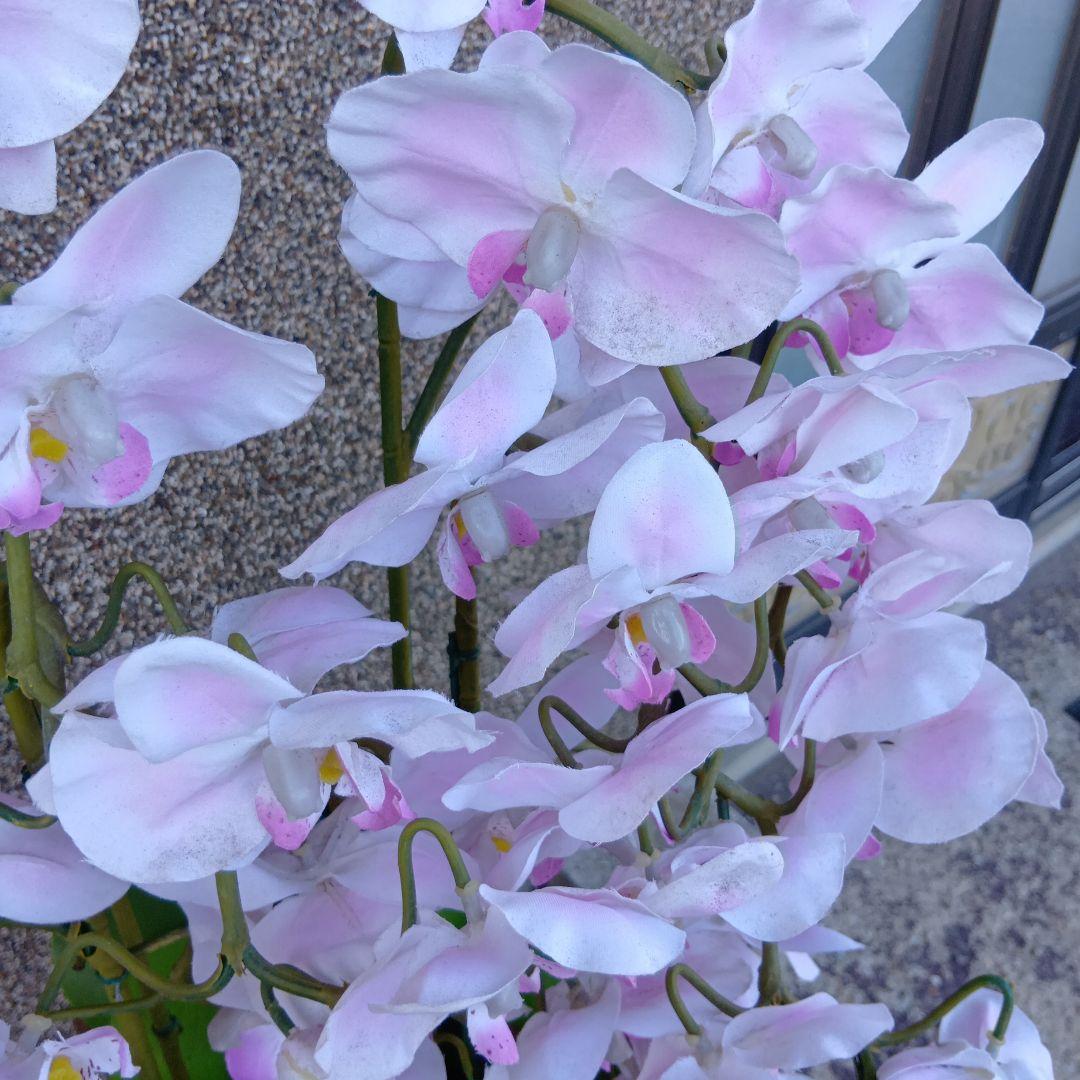 人工観葉植物　胡蝶蘭