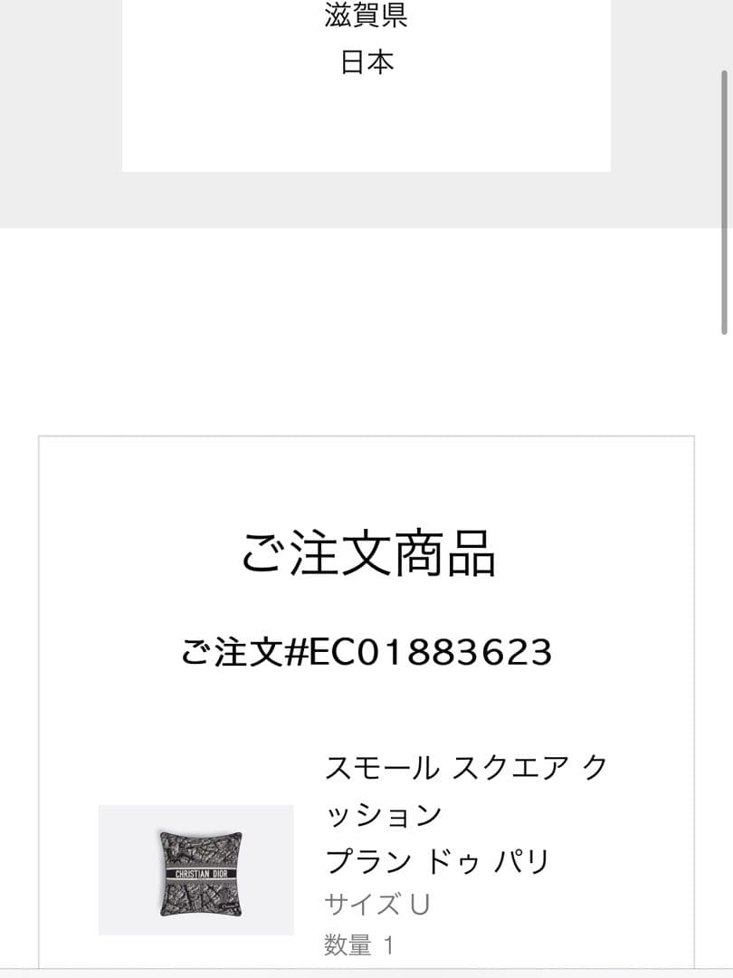 【超美品】Christian Dior パリ地図クッション(箱付き)