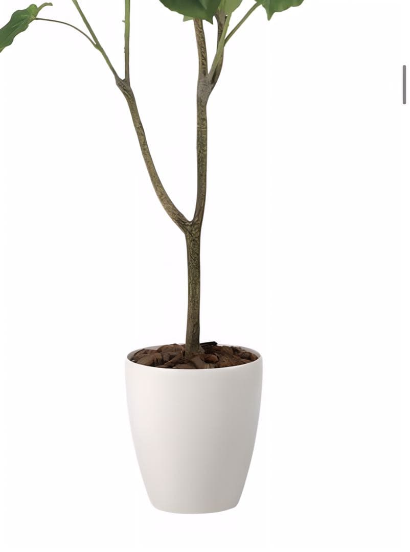 光触媒　人工観葉植物　フェイクグリーン　フィカスウンベラータ1.35m