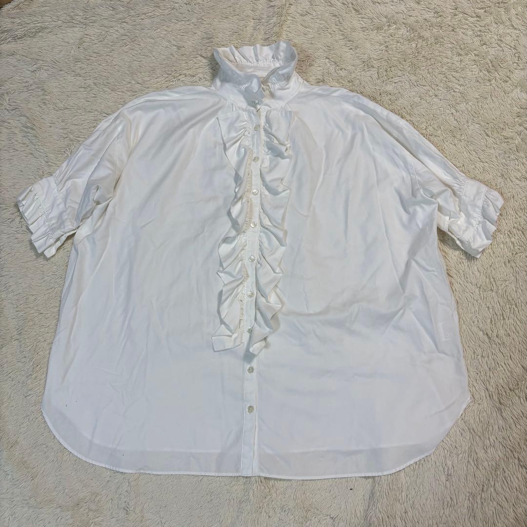 dahl’ia ダリア フリル ショートスリーブ シャツ ブラウス　FREE