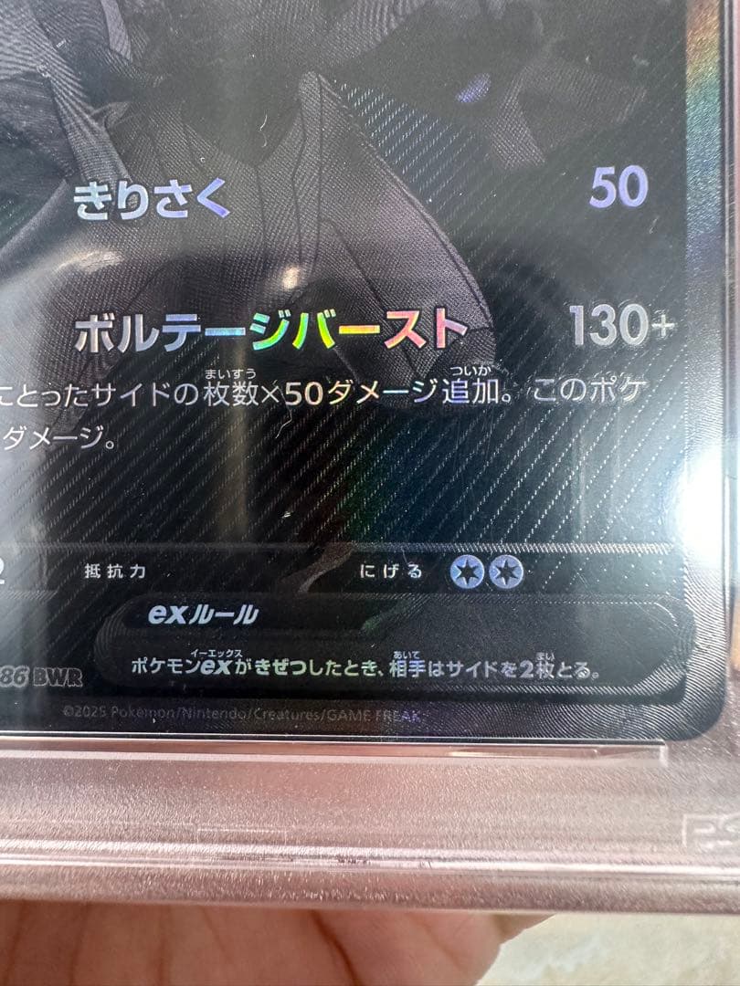 かると【PSA10】ゼクロムex BWR SV11B 174/086