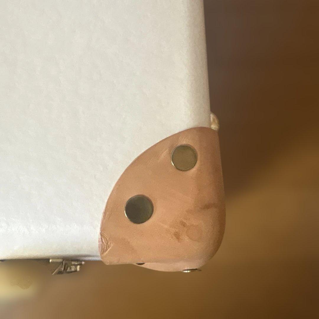 グローブトロッターキャリーバッグ