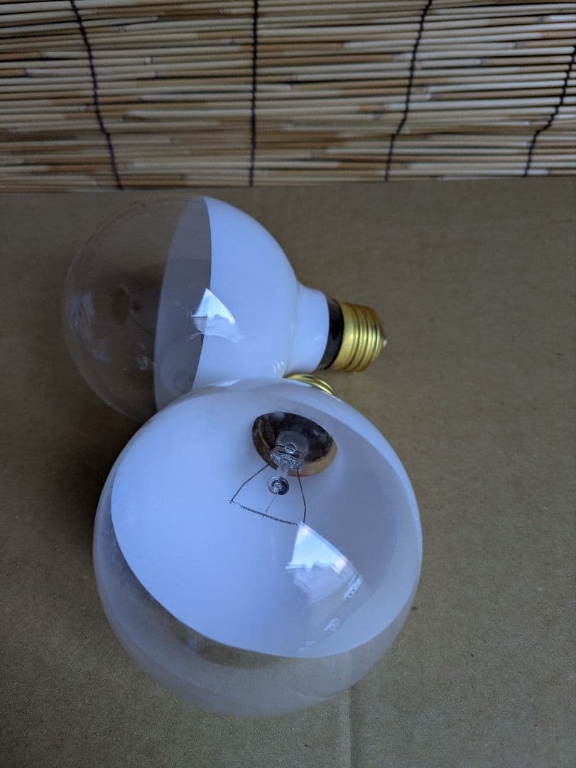 東芝ライテックTOKI電照ランプDENS100V60W80K25個入2箱セット