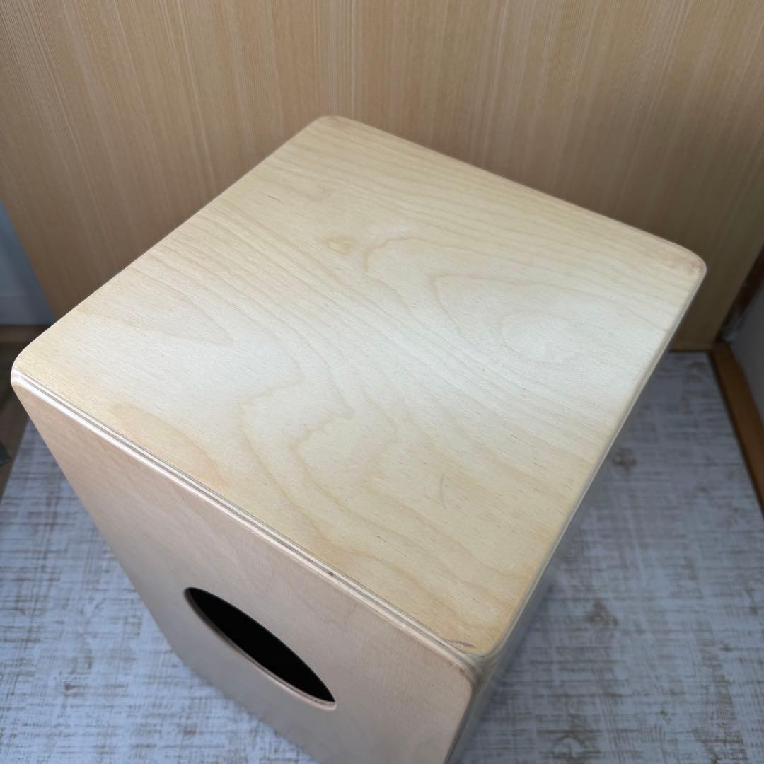 De gregorio bravo カホン cajon ケース付　打楽器