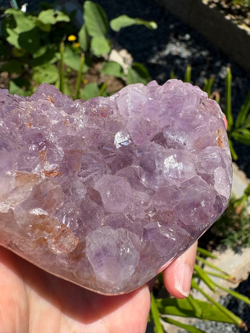 ピンクアメジスト