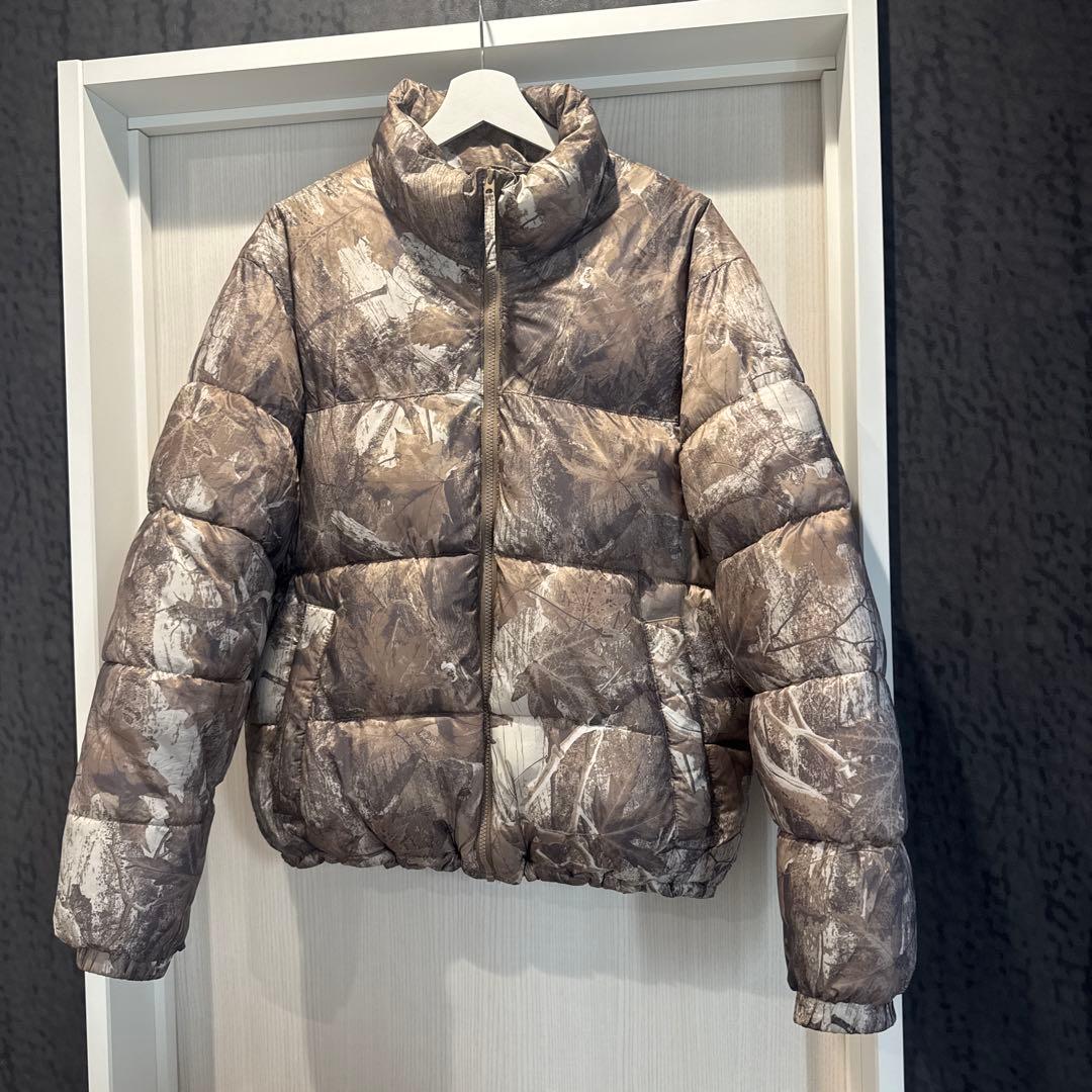 Hollisterダウンジャケット リアルツリー M