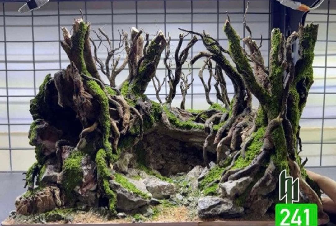 TTD 【⭐︎ 雑貨屋様⭐︎】【美品・数量限定】