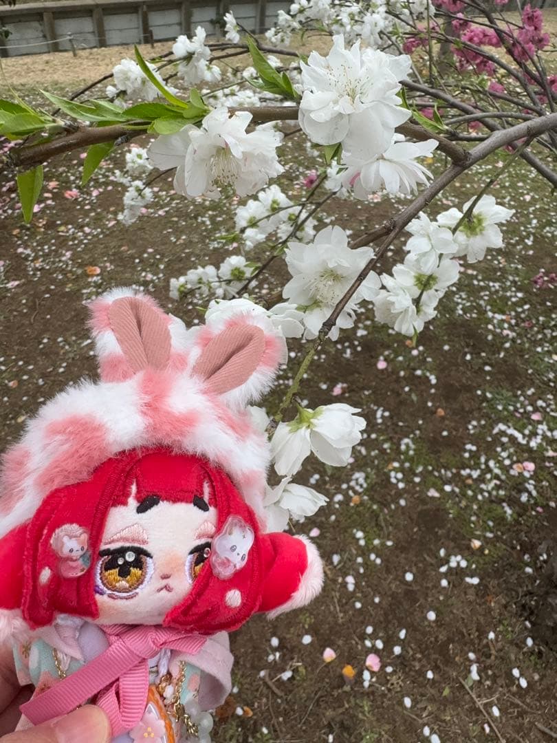 自作ぬい（毒きのこちゃん）