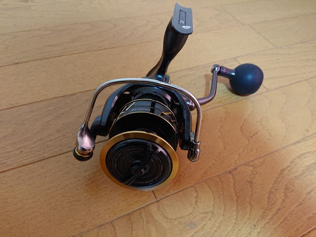 リール DAIWA CALDIA SW 6000D-H