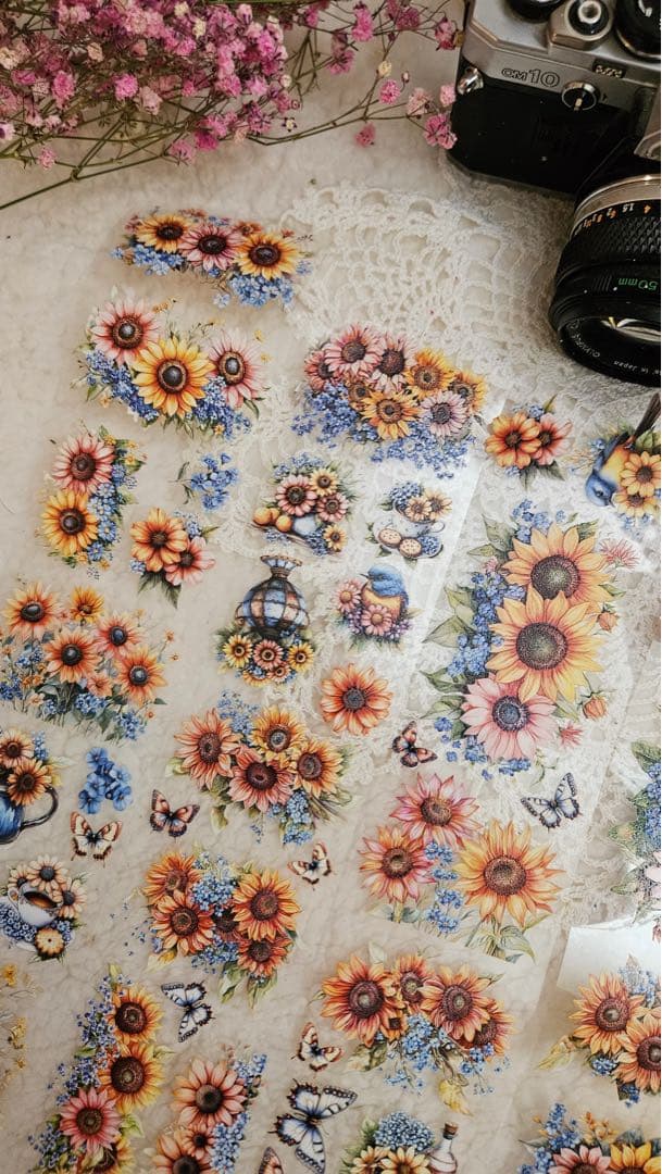 Lana's Scrap Shop 海外マスキングテープ　マステ 【2414】