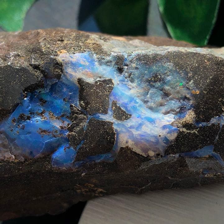 ボルダーオパール原石オーストラリア産y1184