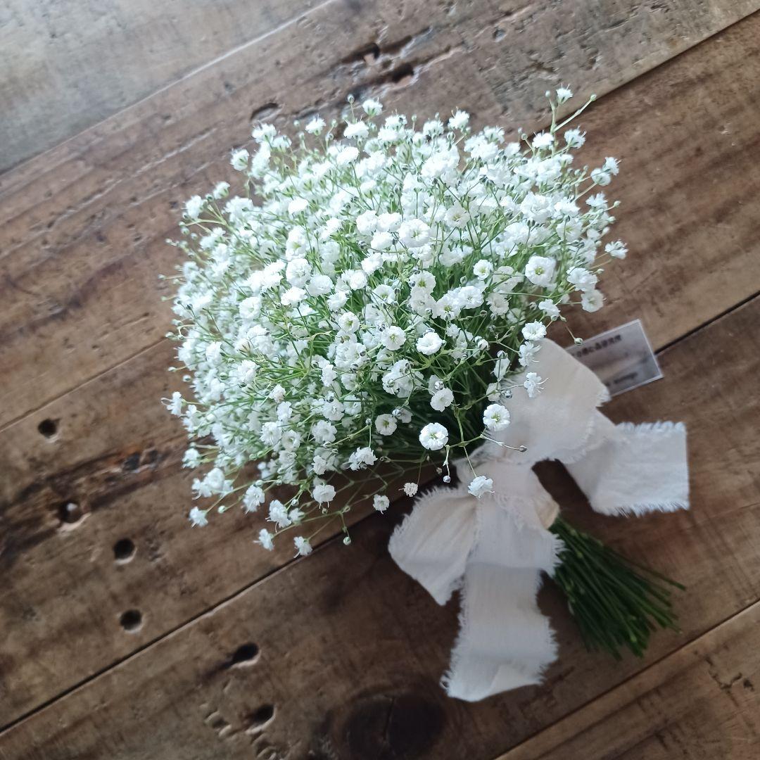 新品 未使用 ドライフラワー リース スワッグ かすみ草 【ご予約】