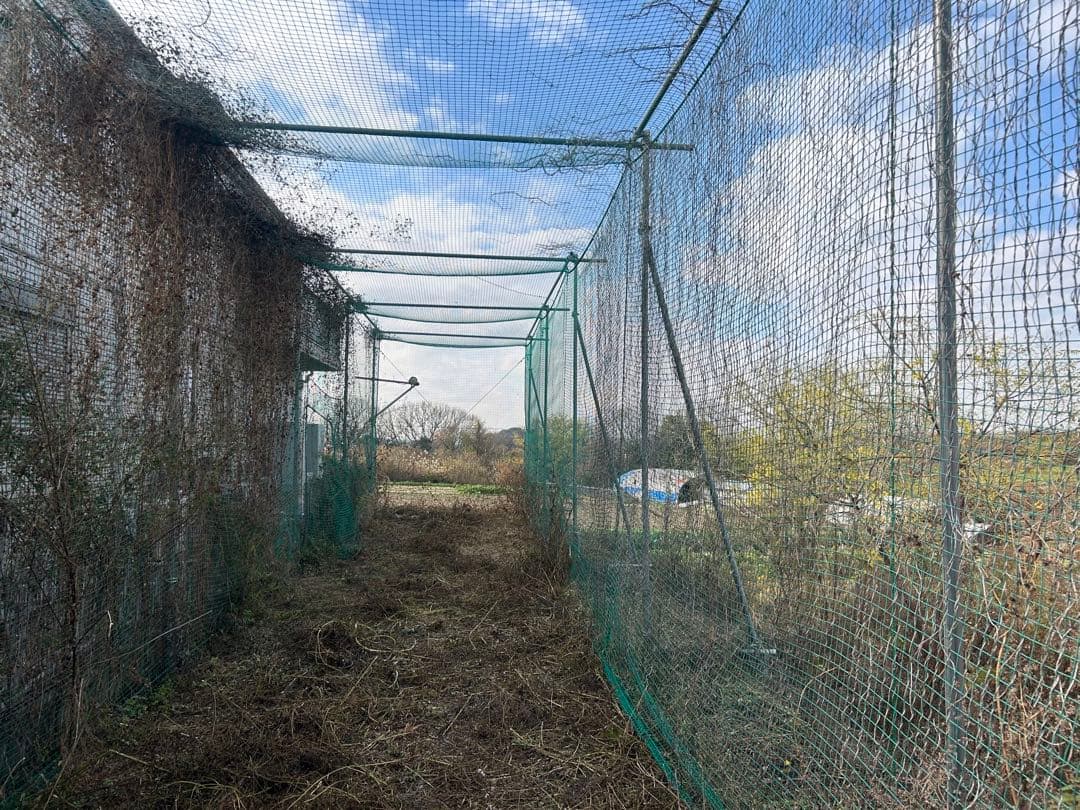 大型バッティングゲージ