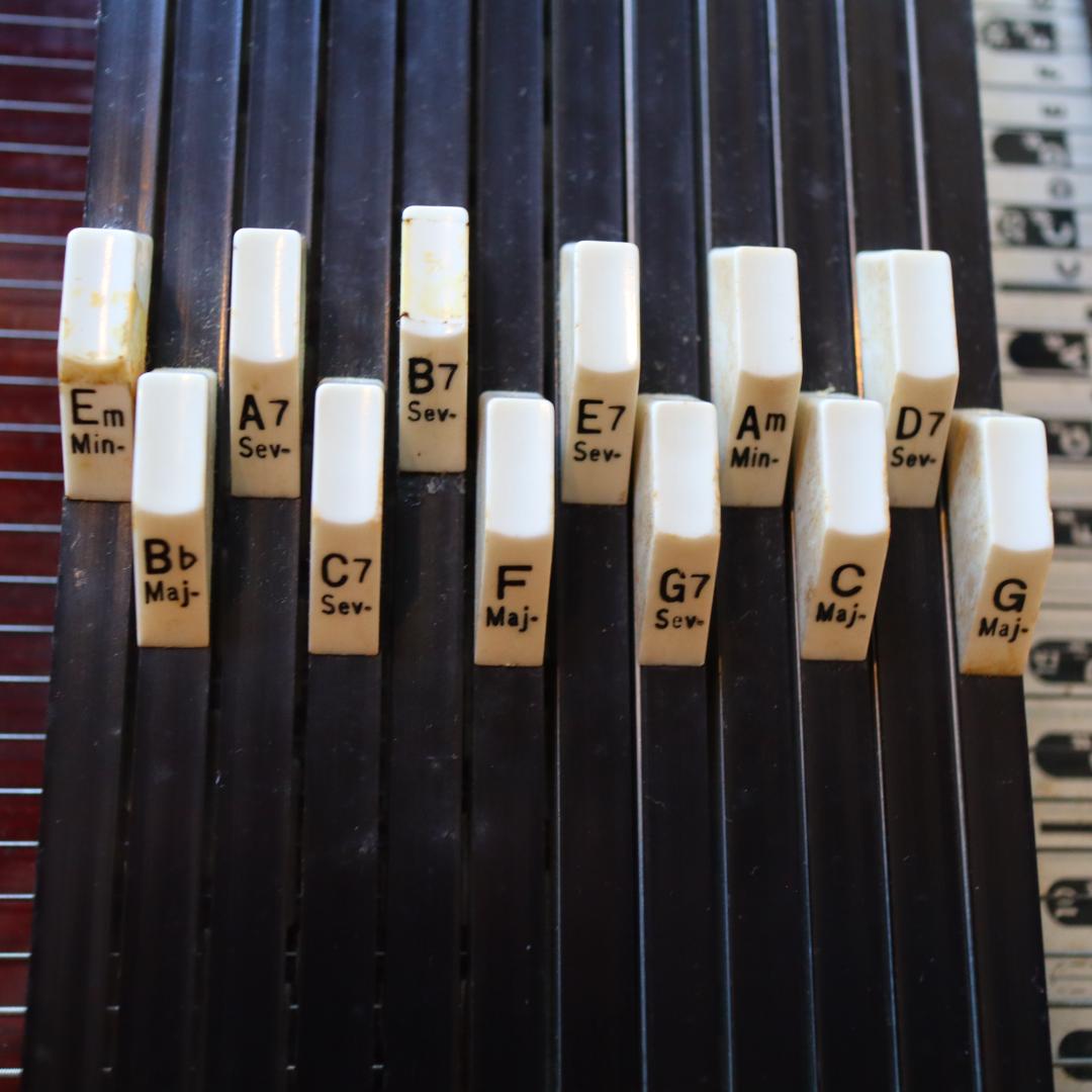 東海楽器　クロマハープ　オートハープ　TOKAI Chromaharp　ケース付