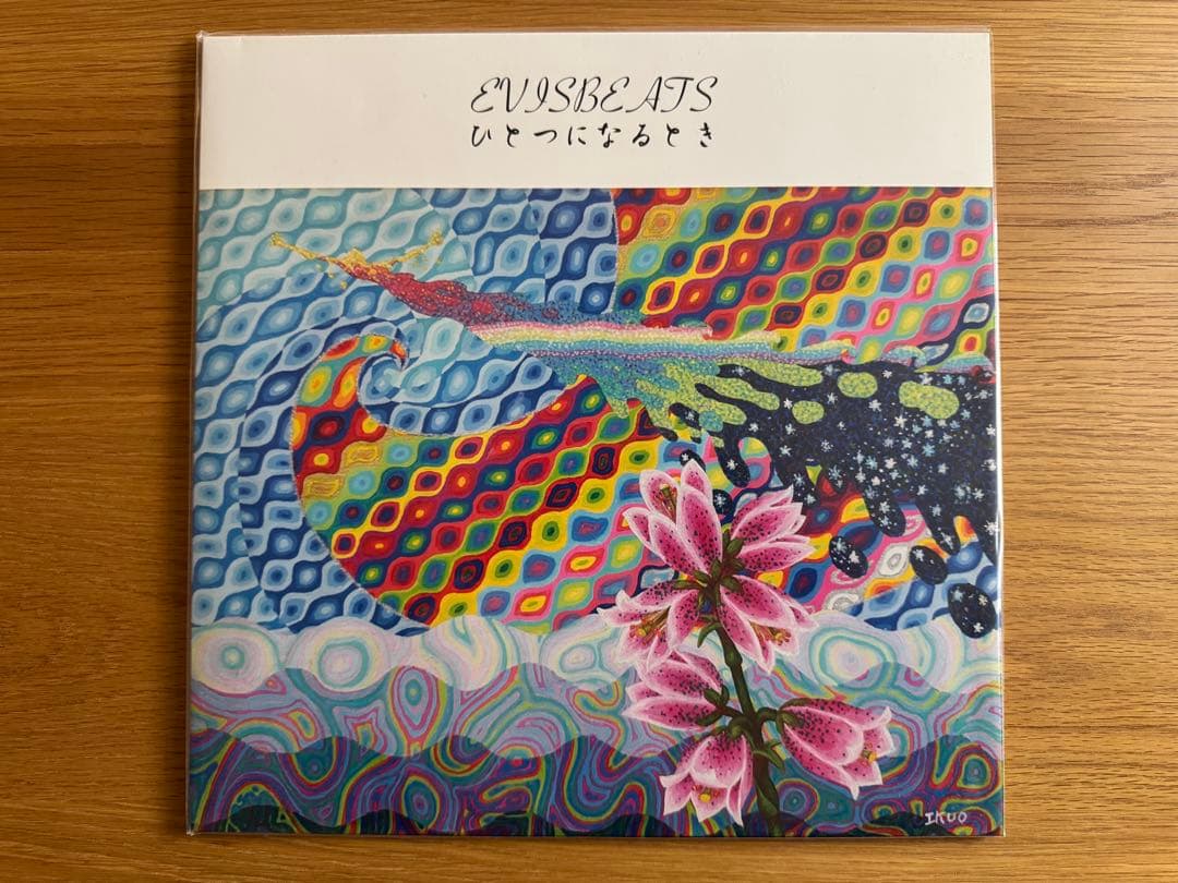 EVISBEATS ひとつになるとき　レコード 2LP レア 美品